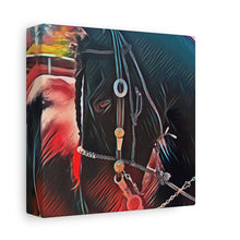 Load image into Gallery viewer, Bandido on Matte Canvas, Stretched, 1.25"