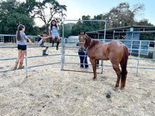 Load image into Gallery viewer, The Horse Program for Homeschool at Redwood Empire Ranch Enrollment