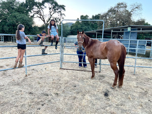 The Horse Program for Homeschool at Redwood Empire Ranch Enrollment