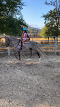 Load image into Gallery viewer, The Horse Program for Homeschool at Redwood Empire Ranch Enrollment