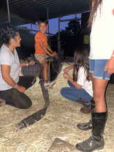 Load image into Gallery viewer, The Horse Program for Homeschool at Redwood Empire Ranch Enrollment