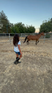 The Horse Program for Homeschool at Redwood Empire Ranch Enrollment