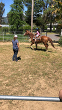 Load image into Gallery viewer, The Horse Program for Homeschool at Redwood Empire Ranch Enrollment