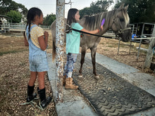Load image into Gallery viewer, The Horse Program for Homeschool at Redwood Empire Ranch Enrollment