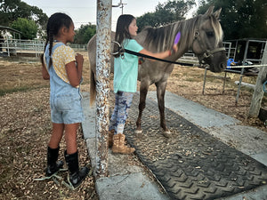 The Horse Program for Homeschool at Redwood Empire Ranch Enrollment