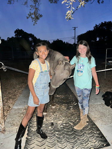 The Horse Program for Homeschool at Redwood Empire Ranch Enrollment