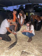 Load image into Gallery viewer, The Horse Program for Homeschool at Redwood Empire Ranch Enrollment