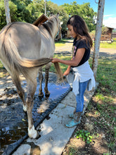 Load image into Gallery viewer, The Horse Program for Homeschool at Redwood Empire Ranch Enrollment