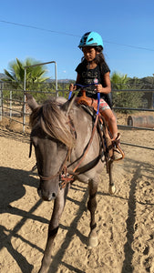 The Horse Program for Homeschool at Redwood Empire Ranch Enrollment