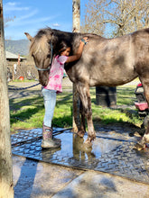Load image into Gallery viewer, The Horse Program for Homeschool at Redwood Empire Ranch Enrollment