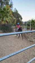 Load image into Gallery viewer, The Horse Program for Homeschool at Redwood Empire Ranch Enrollment