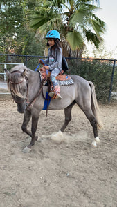 The Horse Program for Homeschool at Redwood Empire Ranch Enrollment
