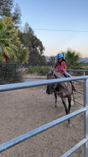 Load image into Gallery viewer, The Horse Program for Homeschool at Redwood Empire Ranch Enrollment