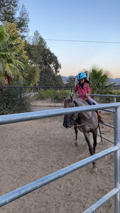 The Horse Program for Homeschool at Redwood Empire Ranch Enrollment