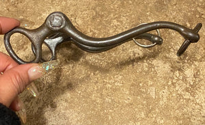 Sweet Iron curb bit